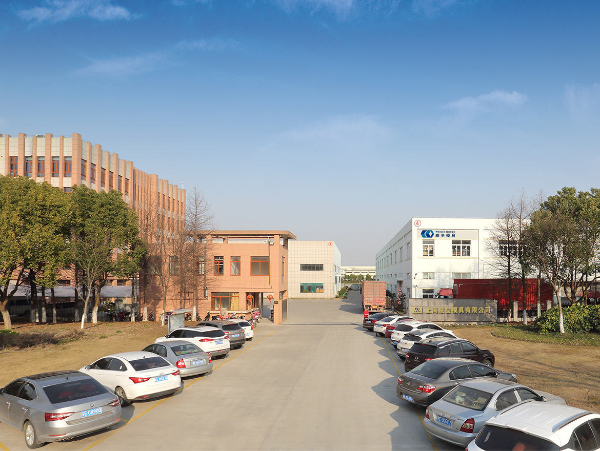 Weilei Mould1